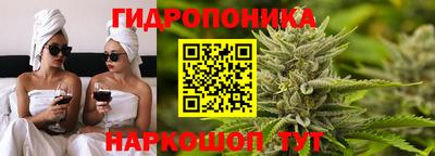 гашик Малоярославец