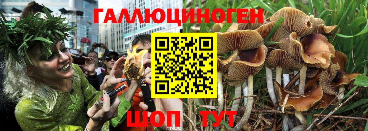 Галлюциногенные грибы ЛСД  Вход с VPN  Томск 