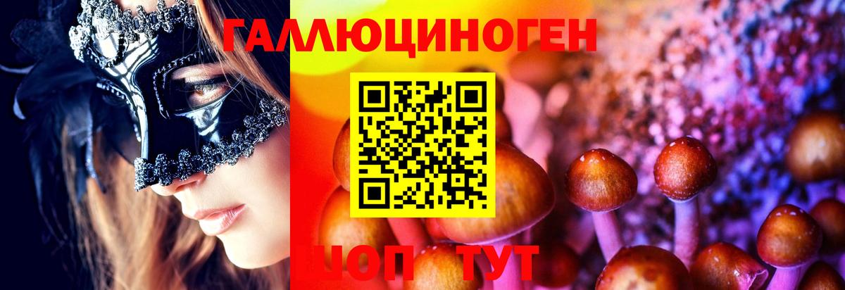 Псилоцибиновые грибы мицелий Томск